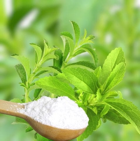 Top Brazzein Manufacturers and Suppliers in Thailand Top Brazzein Manufacturers and Suppliers in Thailand