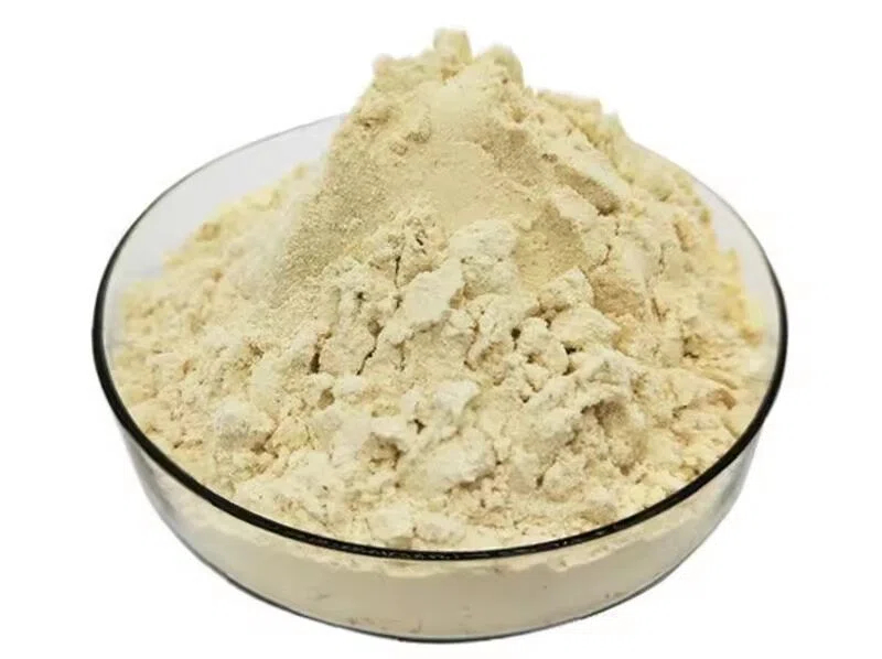 Top Plant Protein Manufacturers and Suppliers in Mexico Top Plant Protein Manufacturers and Suppliers in Mexico