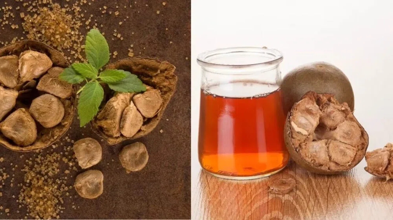 Top Monk Fruit Extract Manufacturers and Suppliers in Turkey Top Monk Fruit Extract Manufacturers and Suppliers in Turkey