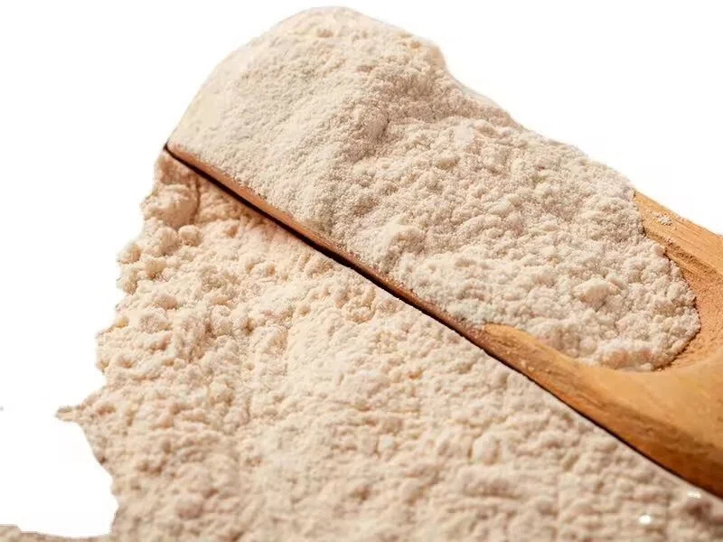 Top Rice Protein Manufacturers and Suppliers in Portugal Top Rice Protein Manufacturers and Suppliers in Portugal