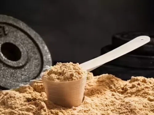 Top Rice Protein Manufacturers and Suppliers in United Kingdom Top Rice Protein Manufacturers and Suppliers in United Kingdom
