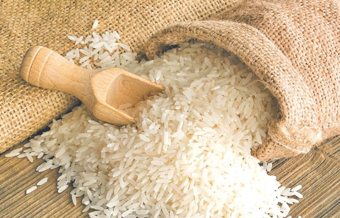 Top Rice Protein Manufacturers and Suppliers in France Top Rice Protein Manufacturers and Suppliers in France