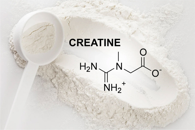 Creatine Monohydrate