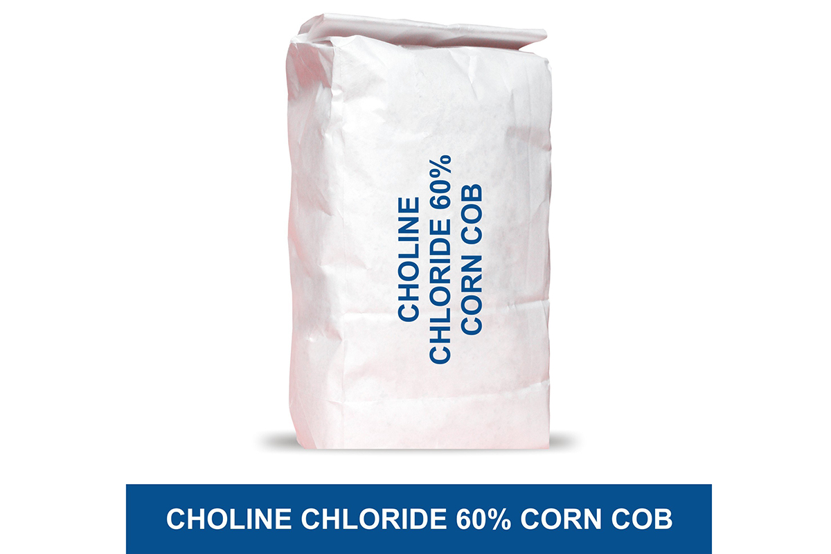 Choline Chloride