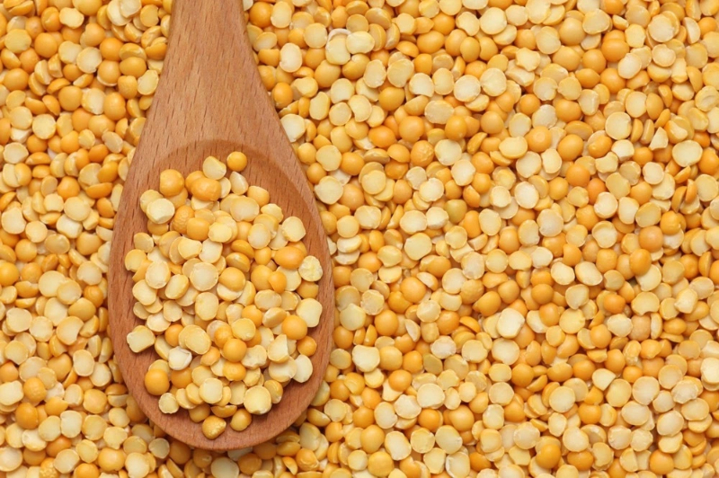 Pea protein The multi-million pound ingredient that's driving the vegan boom _ Analysis & Features _ The Grocer