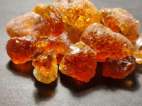//ijrorwxhnpiplm5m.ldycdn.com/cloud/liBpiKkmlqSRjlnpmqqkkm/Top-Arabic-Gum-Manufacturers-and-Suppliers-in-Saudi-Arabia.jpg