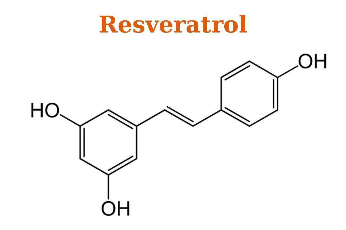 Resveratrol