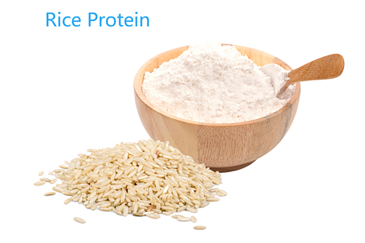 Rice Protein