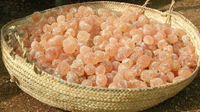 //ijrorwxhnpiplm5m.ldycdn.com/cloud/ljBpiKkmlqSRjlkpklnqkp/Top-Arabic-Gum-Manufacturers-and-Suppliers-in-India.jpg