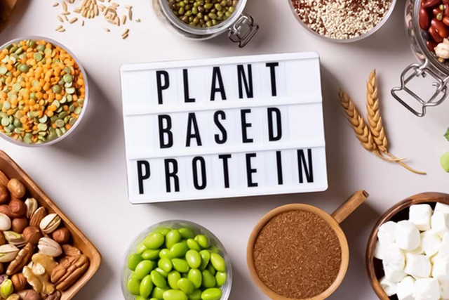 Plant Proteins