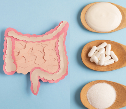 Akkermansia Muciniphila