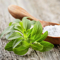 //ijrorwxhnpiplm5m.ldycdn.com/cloud/lkBpiKkmlqSRjlomnmiikp/which-is-better-for-you-stevia-or-splenda.jpg