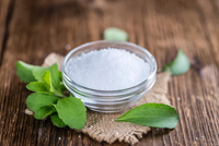 //ijrorwxhnpiplm5m.ldycdn.com/cloud/lkBpiKkmlqSRklrnljrmkq/is-stevia-banned-in-europe.jpg