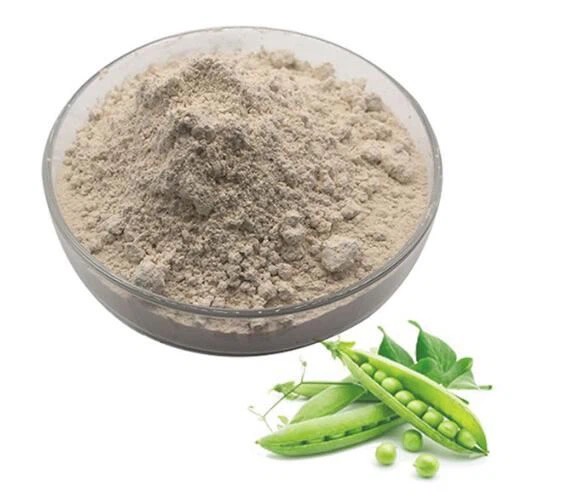 Pea Protein Organic - manufacturer - undersun
