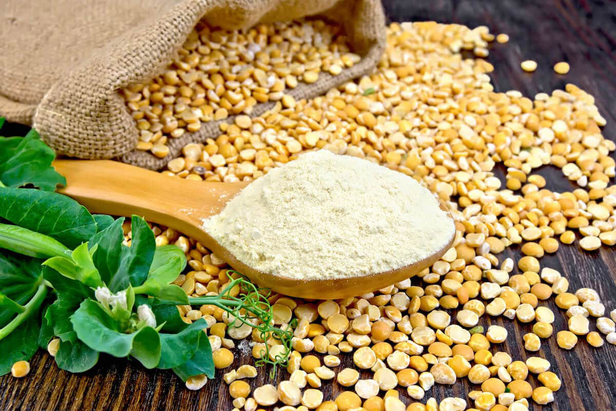 Pea Protein