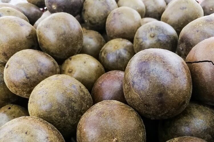 is monk fruit safe during pregnancy