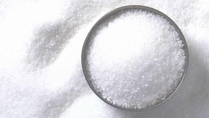 Top Erythritol Manufacturers and Suppliers in Mexico
