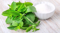 //ijrorwxhnpiplm5m.ldycdn.com/cloud/lmBpiKkmlqSRklrokrlkko/how-much-is-too-much-stevia.jpg