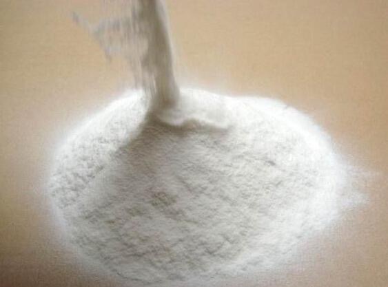 Top Isomaltulose Manufacturers and Suppliers in Canada.jpg