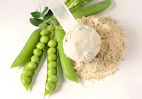 //ijrorwxhnpiplm5m.ldycdn.com/cloud/lmBpiKkmlqSRnljkriiqko/Top-Pea-Protein-Manufacturers-and-Suppliers-in-Austria.jpg
