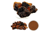 Chaga