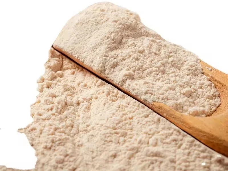 Top Pea Protein Manufacturers and Suppliers in India