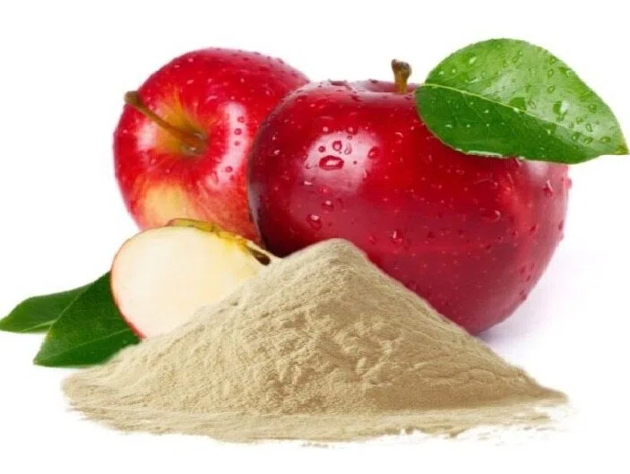 Spray Dried Apple Powder, Box, Packaging Size 20 Kg at ₹ 450_kg in Coimbatore