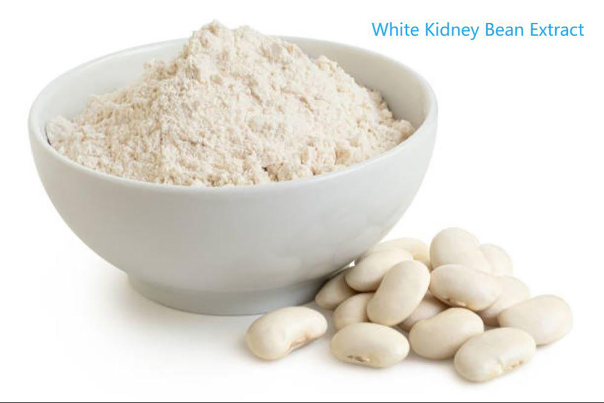 White Kidney Bean Extract
