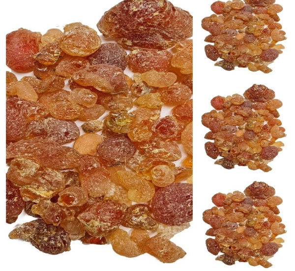 Top Arabic Gum Manufacturers and Suppliers in France