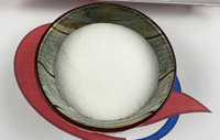 //ijrorwxhnpiplm5m.ldycdn.com/cloud/loBpiKkmlqSRllkimppkkp/Top-Isomaltulose-Manufacturers-and-Suppliers-in-Argentina.jpg