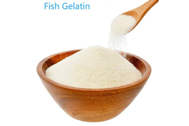 Fish Gelatin