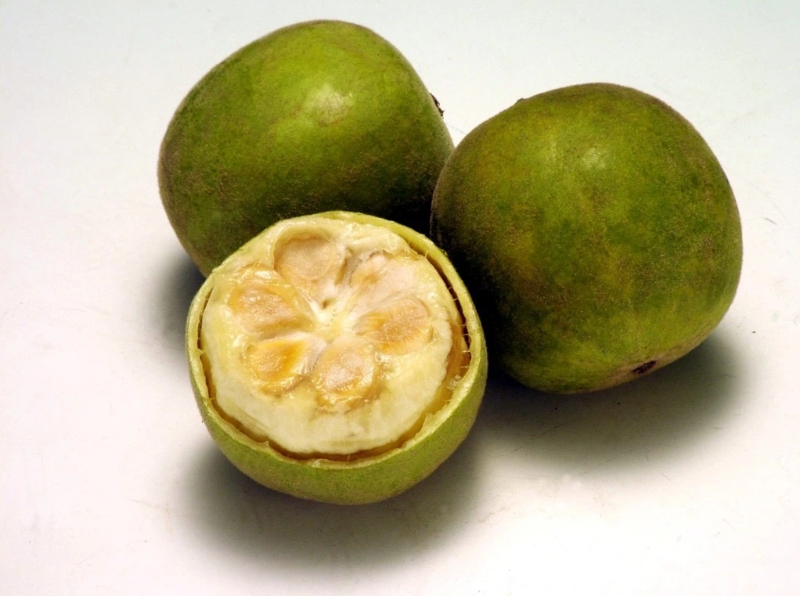 Monk Fruit, Nature's Best Natural Sweetener _ Kinetik fitness
