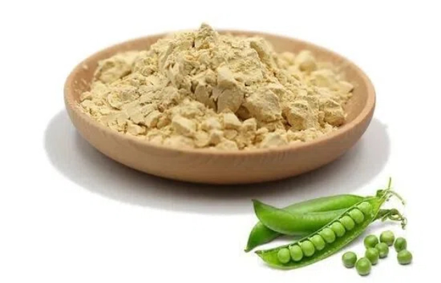 Top Pea Protein Manufacturers and Suppliers in Indonesia