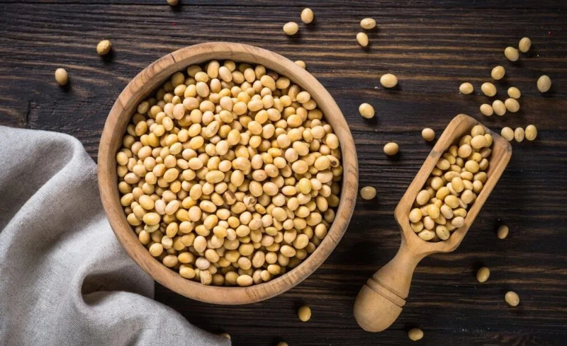 Soy Protein Plant-Based Power For Hair Soy Protein Plant-Based Power For Hair