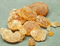 //ijrorwxhnpiplm5m.ldycdn.com/cloud/lqBpiKkmlqSRjlkpjlnkkq/Top-Arabic-Gum-Manufacturers-and-Suppliers-in-Germany.jpg