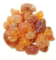 //ijrorwxhnpiplm5m.ldycdn.com/cloud/lqBpiKkmlqSRjlnprmmlkp/Top-Arabic-Gum-Manufacturers-and-Suppliers-in-Spain.jpg