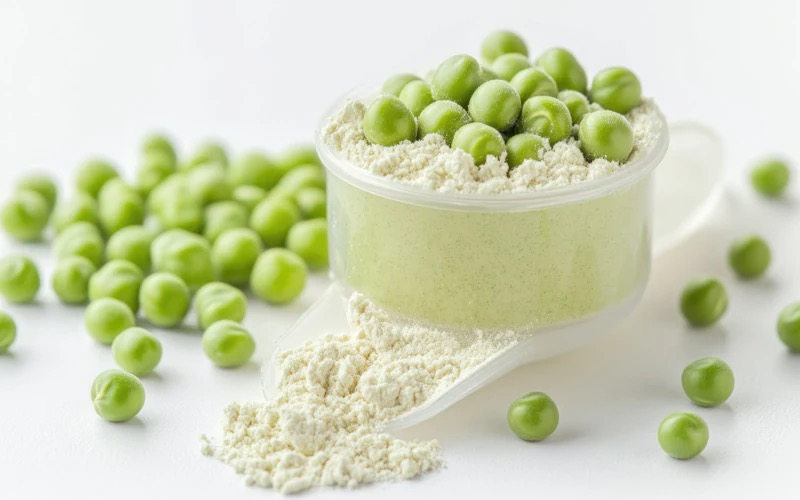 Top Pea Protein Manufacturers and Suppliers in South Korea Top Pea Protein Manufacturers and Suppliers in South Korea