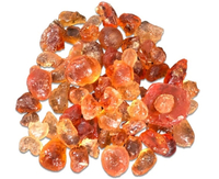 //ijrorwxhnpiplm5m.ldycdn.com/cloud/lrBpiKkmlqSRjlnpkqilkp/Top-Arabic-Gum-Manufacturers-and-Suppliers-in-Russia.jpg