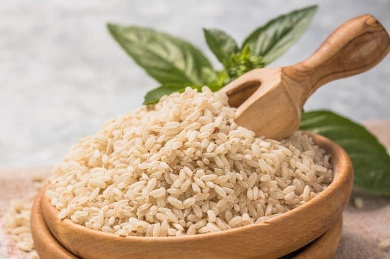 Rice protein The natural, high-quality protein alternative | MNSTRY Know-how