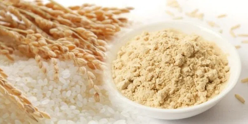 Rice Protein (1) Rice Protein (1)
