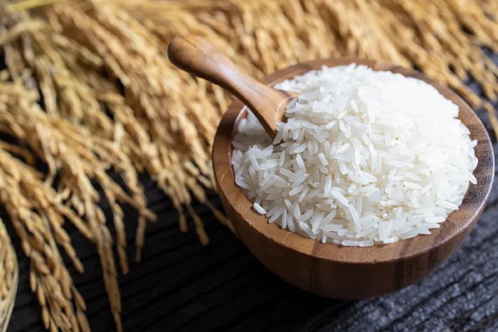 Rice Protein A Comprehensive Guide For Vegans & Athletes