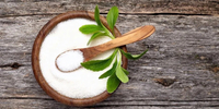 //ijrorwxhnpiplm5m.ldycdn.com/cloud/poBpiKkmlqSRolnrrloikq/Top-Stevia-Manufacturers-and-Suppliers-in-Austria.jpg