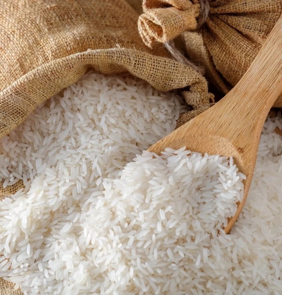 Top Rice Protein Manufacturers and Suppliers in South Korea Top Rice Protein Manufacturers and Suppliers in South Korea