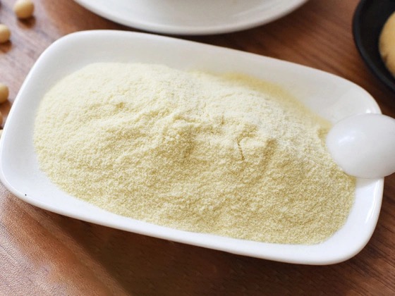 Top Rice Protein Manufacturers and Suppliers in Norway