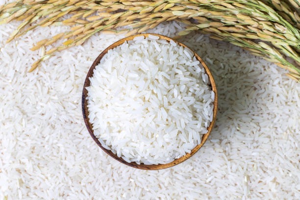 28,600+ Rice Protein Stock Photos, Pictures & Royalty-Free Images - iStock | Brown rice protein powder